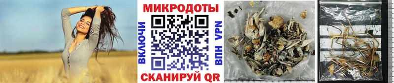 Галлюциногенные грибы GOLDEN TEACHER  Купить  Руза 